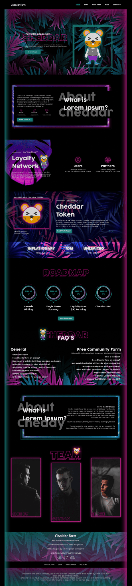 Chester Farm NFT full-page website design