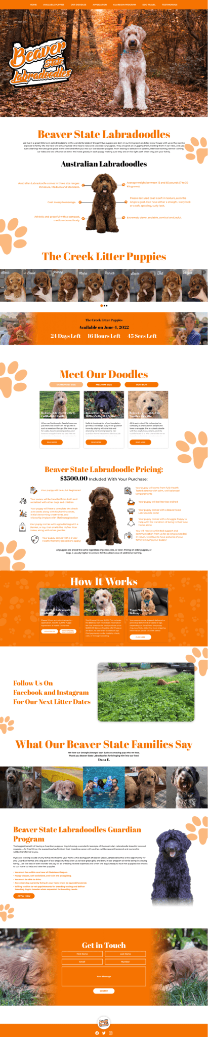 Pet grooming website full-page website design