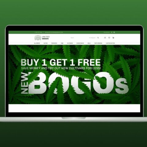BOGOs dispensary