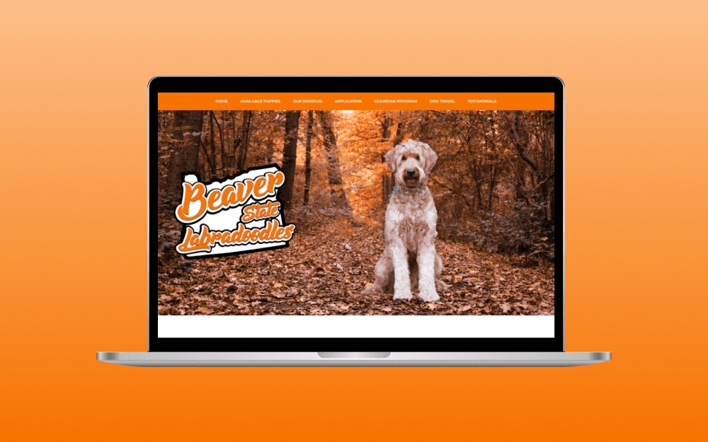 Pet grooming website website design