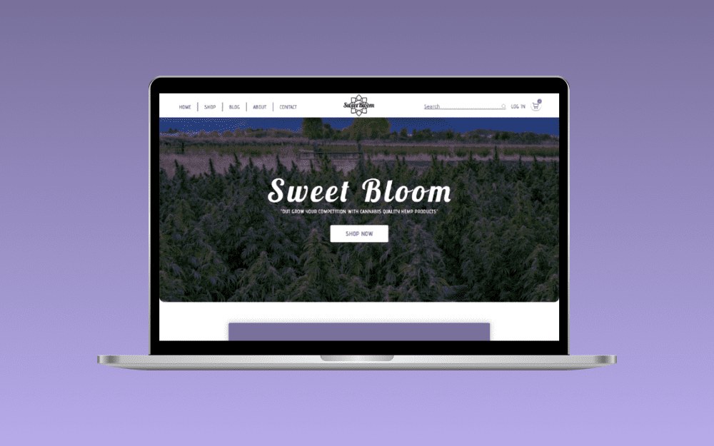 Sweet Bloom Website